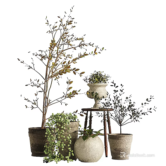 Various Bonsai Plants In Decorative Pots With Small Wooden Stand And Green Foliage 3d model 