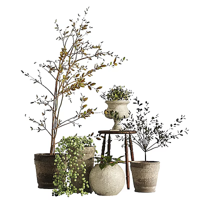 Various Bonsai Plants In Decorative Pots With Small Wooden Stand And Green Foliage 3d model