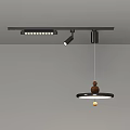 Minimalist Modern Ceiling Lighting Combination With Track Lights And Pendant Light Black Metal Frame