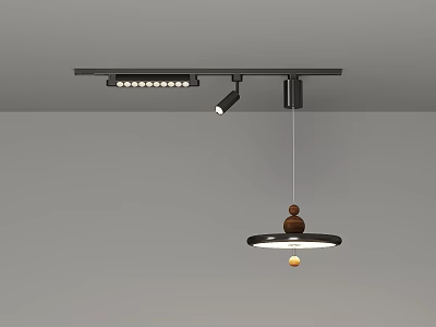 Minimalist Modern Ceiling Lighting Combination With Track Lights And Pendant Light Black Metal Frame 3d model