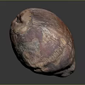 Single Brownish Red Textured Coconut Fruit With Natural Shell And Oval Shape 3d model