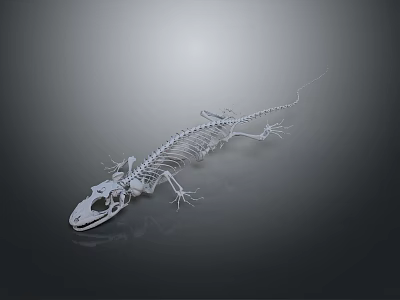 Scientific 3D Rendered Detailed Lizard Skeleton Anatomical Structure On Dark Background 3d model