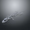 Scientific 3D Rendered Detailed Lizard Skeleton Anatomical Structure On Dark Background
