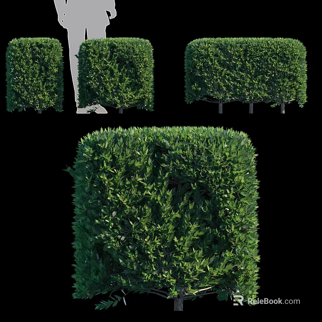 Lush Green Square Shaped Garden Shrubs With Various Pruned Designs And Vibrant Foliage 3d model 