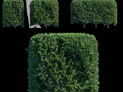 Lush Green Square Shaped Garden Shrubs With Various Pruned Designs And Vibrant Foliage 3d model