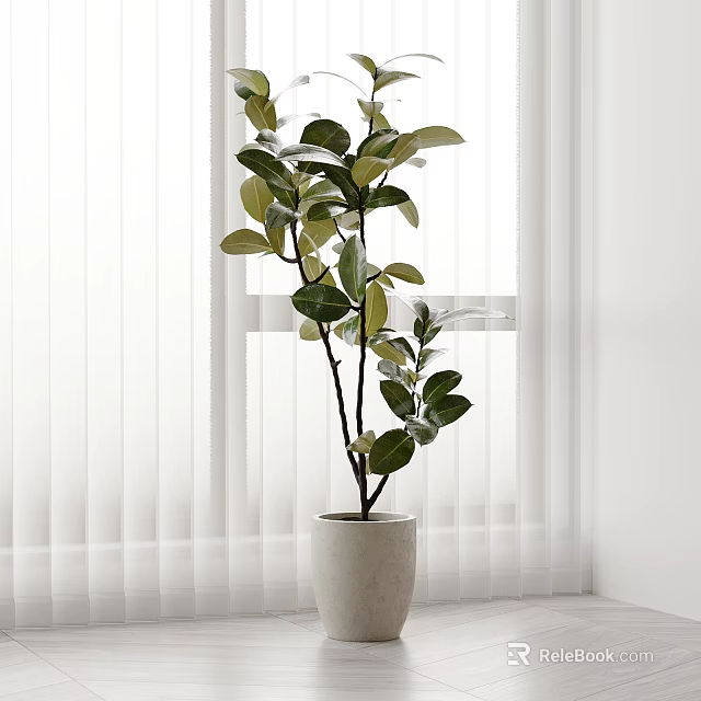 Indoor Bonsai Plant With Green Leaves In Light Colored Pot Near White Curtains Window 3d model 