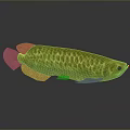 Golden Arowana Fish With Shiny Golden Scales And Clear Reflection On Dark Background