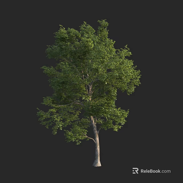 Lush Green Arbor With Dense Foliage And Brown Trunk Against Dark Backdrop 3d model 