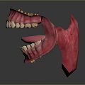 Human Oral Anatomy Model With Detailed Teeth And Pink Gums Structure