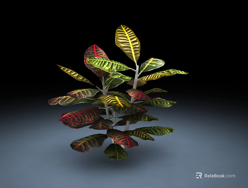Vibrant Colorful Leafy Plant with Red Yellow Green Striped and Variegated Leaves 3d model 