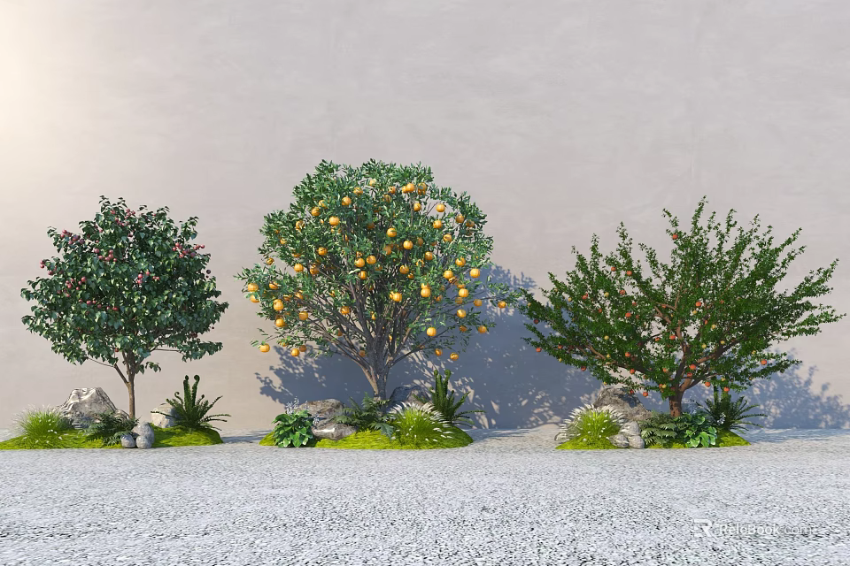 Three Arbor Trees with Orange Fruits Surrounded by Small Plants Gravel Path and Gray Wall 3d model 