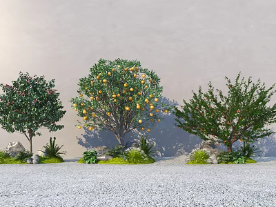 Three Arbor Trees with Orange Fruits Surrounded by Small Plants Gravel Path and Gray Wall 3d model
