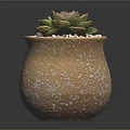 Succulent Plant in Yellow Ceramic Pot with Painted Red Flowers Green Leaves and White Pebbles