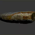 Natural Stone Ammonite Fossil Artwork With Wooden Accent And Detailed Texture