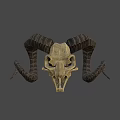 Ram Skull With Curved Textured Horns And Detailed Bone Structure In Shadow