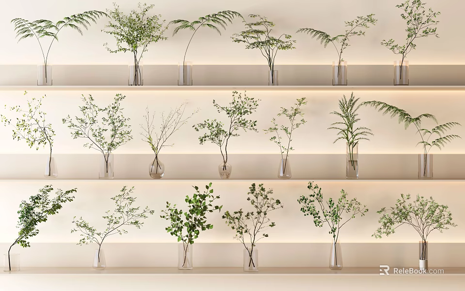 Transparent Vases With Green Plants And Flowers Neatly Arranged On White Shelves Under Soft Lighting 3d model 