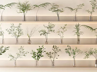 Transparent Vases With Green Plants And Flowers Neatly Arranged On White Shelves Under Soft Lighting 3d model