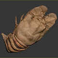 Cooked Orange Lobster With Curved Body And Open Claws Isolated On Gray Background