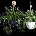 Hanging Garden Decor With Green Ferns In Black White Pots And Metal Hooks