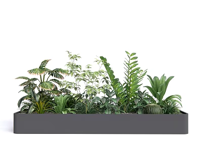 Lush Healthy Potted Plants In Rectangular Planter With Various Green Foliage 3d model