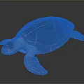 Realistic Green Shell Turtle With White Body And Textured Fins On Black Background