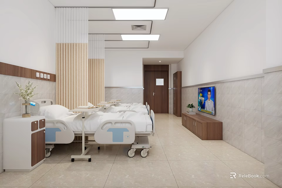 Hospital Ward Interior With Two Beds TV Wooden Cabinets And Lighting 3d model 