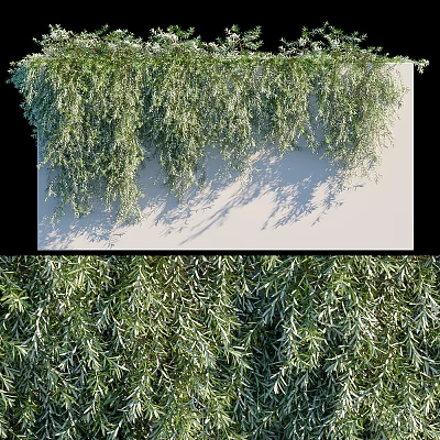 Dense Living Plant Wall Featuring Lush Green Foliage and Trailing Plants 3d model