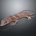 Brown Lizard With Textured Skin And Long Tail On Dark Reflective Surface 3d model