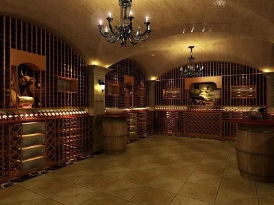 Elegant Wine Cellar Interior With Wooden Racks Wine Barrels And Warm Lighting 3d model