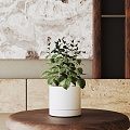 Modern Potted Plant 3d model