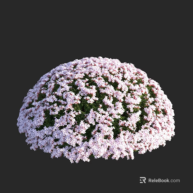 Rounded Shrub With Beautiful Pink And White Blooming Flowers In Garden 3d model 