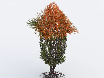 Arbor With Orange and Green Leaves Thin Branches And Exposed Roots Design 3d model