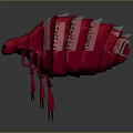 Red 3D Model of Arthropod-like Creature with Segmented Body and Long Thin Legs
