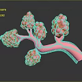 Medical Device 3D Anatomical Lung Structure for Medical Education Pink Branched with Spherical Parts
