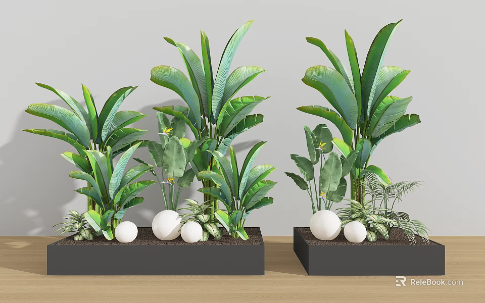 Large Leafy Potted Plants With White Spherical Decorations In Black Square Pots 3d model 
