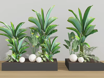 Large Leafy Potted Plants With White Spherical Decorations In Black Square Pots 3d model