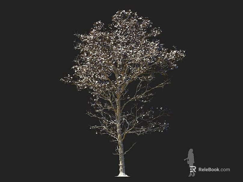 Tall Deciduous Tree With White Blossoms And Silhouette Figure In Natural Scene 3d model 