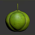 Fresh Green Striped Tropical Fruit With Smooth Skin And Stem