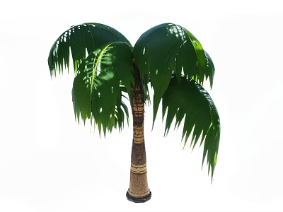 Indoor Green Shrub with Brown Trunk and Lush Leafy Foliage 3d model
