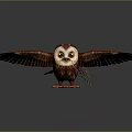 Cute Flying Owl With Spread Wings Standing On Smooth Surface Gray Background 3D Render 3d model