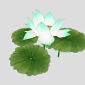 Fresh Light Green And White Lotus Flower With Blooming Petals And Lotus Leaves