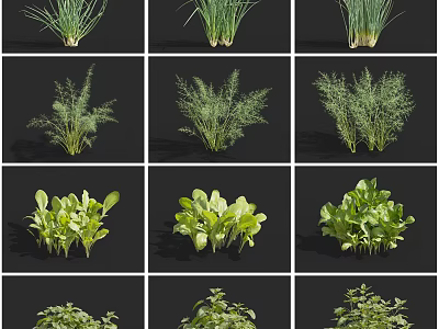 Various Fresh Green Crops Displayed In Grid Layout Showing Healthy Growth 3d model