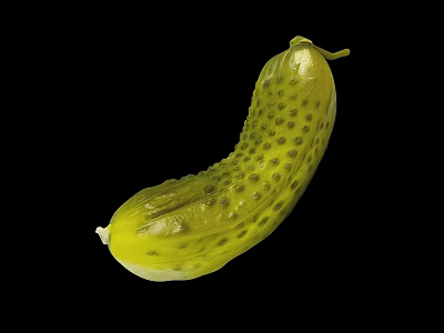 Crispy Fresh Pickled Green Cucumber with Black Spots on Black Background 3d model