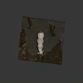 White Cow Standing On Square Platform With Grass Water Puddle And Rock