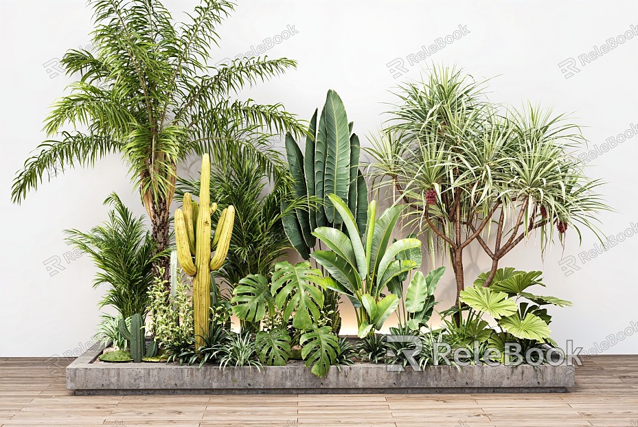 Plant Green Plant Combination Tropical Palm Tree Shrub Landscape Plants model