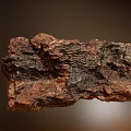 Reddish Brown Arbor Bark With Rough Natural Texture And Organic Patterns 3d model