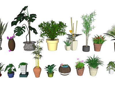 Variety of Bonsai Potted Plants with Different Decorative Pots and Green Foliage 3d model