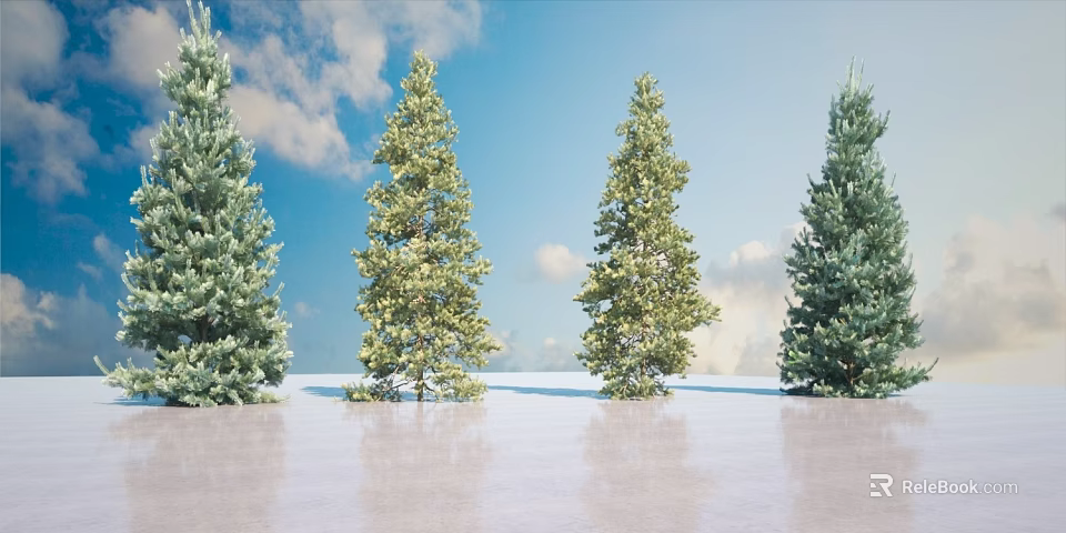 Tall Arbor Trees With Green Foliage Against Blue Sky And Snowy Ground 3d model 
