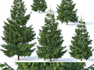 Green Arbor Display With Multiple Trees Lush Foliage And Detailed Branches And Leaves 3d model