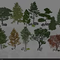 Diverse Ornamental Trees Collection for Landscape Design With Evergreen and Deciduous Varieties